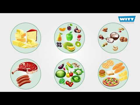 “Enhancing Food Freshness: Optimizing Modified Atmosphere Packaging for Extended Shelf Life and Quality Assurance” “Enhancing Food Freshness: Optimizing Modified Atmosphere Packaging for Extended Shelf Life and Quality Assurance”