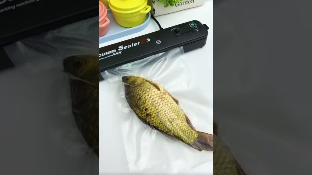 Revolutionary Food Sealer: Perfectly Preserve Your Meals with the Ultimate Vacuum Sealing Solution