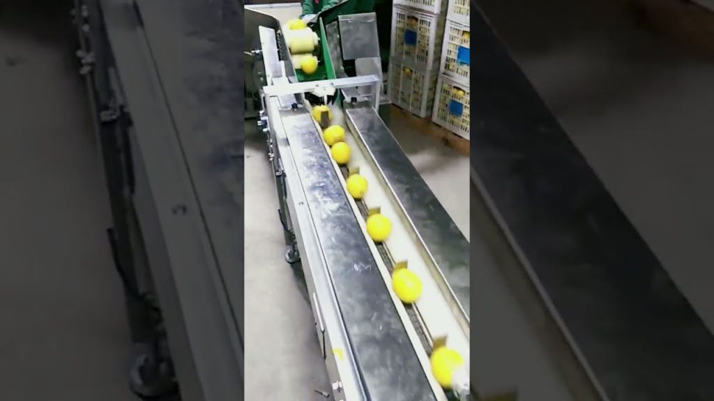 “Revolutionary Lemon Packaging Machine: Unmatched Performance and Automation for Fresh Fruit Wrapping” “Revolutionary Lemon Packaging Machine: Unmatched Performance and Automation for Fresh Fruit Wrapping”