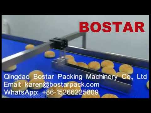 “Efficient Packaging Solutions for Burger Buns and Flow Pouches” “Efficient Packaging Solutions for Burger Buns and Flow Pouches”