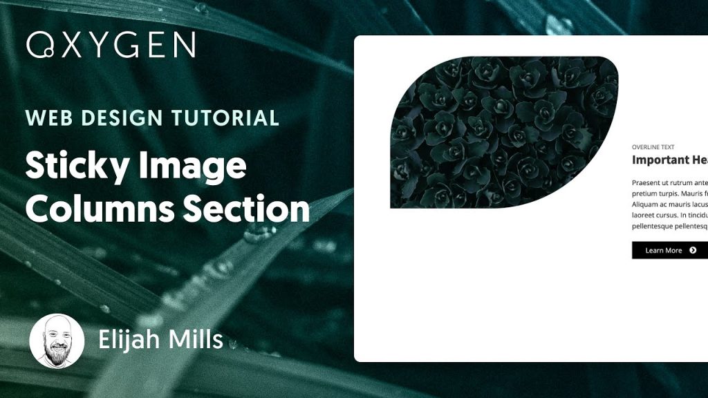 Creating a Sticky Image Columns Section in WordPress with Oxygen: A Step-by-Step Guide Creating a Sticky Image Columns Section in WordPress with Oxygen: A Step-by-Step Guide