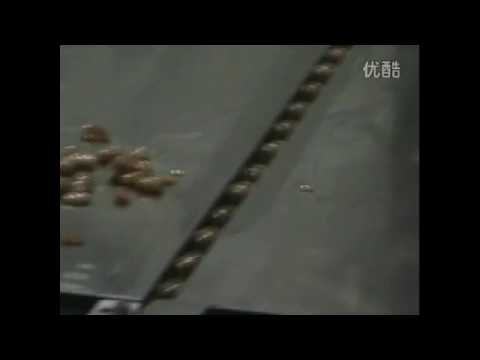 Efficient Candy Wrapping Machine for Speedy Packaging Efficient Candy Wrapping Machine for Speedy Packaging