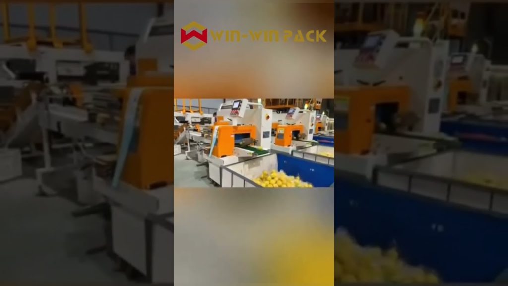 “Efficient Food Packaging Solution for Fruits and Vegetables: Automatic Horizontal Cling Film Wrapping Machine”
