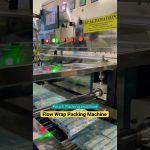 “Efficient Horizontal Flow Wrap Packing Machine for Biscuits, Rusk, and Spaghetti”