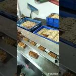 Efficient Horizontal Packing Machine for Chikki Flow Wrap and Scrubbers