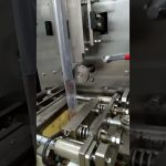 “Efficient Vertical Sachet Packaging for High Viscosity Paste” “Efficient Vertical Sachet Packaging for High Viscosity Paste”