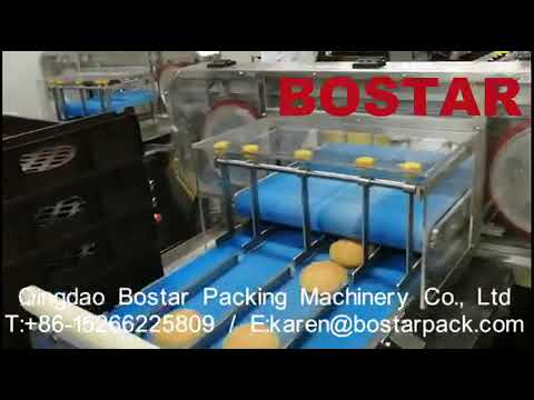“Efficient Wrapping Solution for Burger, Bread, and Bun Bag Packaging: Auto Pouch Wrapper Machine”