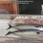 “Efficient and Reliable Fish Packaging Solutions: Horizontal Wrapping and Packaging Machinery for Frozen Fish” “Efficient and Reliable Fish Packaging Solutions: Horizontal Wrapping and Packaging Machinery for Frozen Fish”