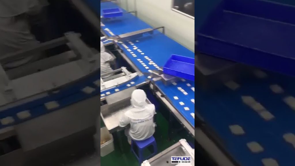 “Efficient and Innovative Packaging Solution for Enhanced Productivity: TEFUDE PACK’s Automatic Packing Line” “Efficient and Innovative Packaging Solution for Enhanced Productivity: TEFUDE PACK’s Automatic Packing Line”